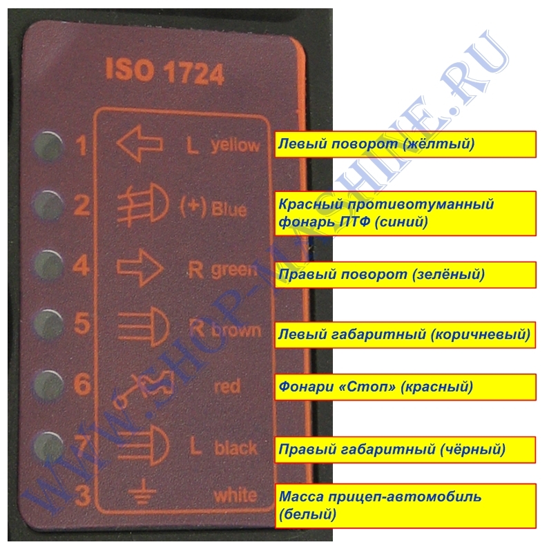 Купить knott - тестер электропроводки tlte пластиковый (6r0812.005) по цене . Низкие цены. Большой выбор. Доставка по всей России. Интернет-магазин в Москве. Только положительные отзывы!