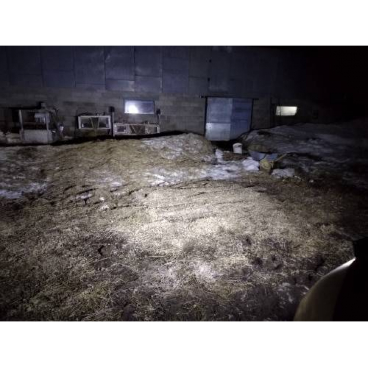 Купить светодиодный led свет (люстра) 18 вт для квадроцикла spot прямоугольный по цене 1 800 р.. Низкие цены. Большой выбор. Доставка по всей России. Интернет-магазин в Москве. Только положительные отзывы!